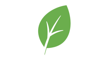 Fototapeta premium Green leaf vector illustration isolated on white background