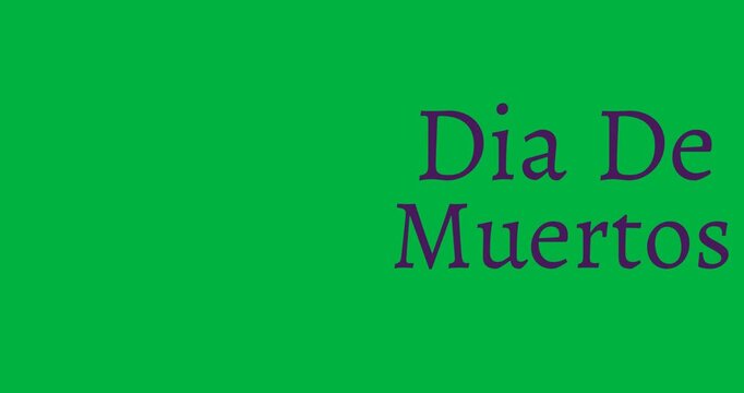 Digital animation of purple ay of dead text banner against white background