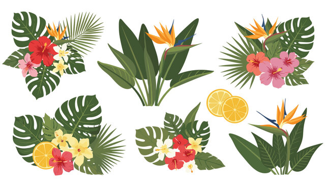 Collection of tropical floral arrangements featuring hibiscus, plumeria, bird of paradise flowers, and monstera leaves.