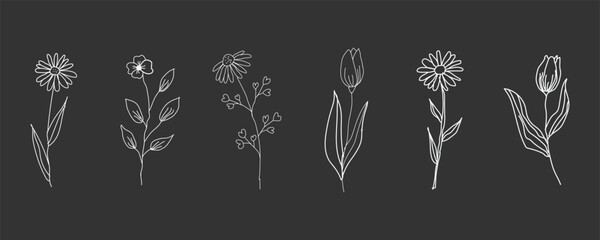 A row of white illustrations of dandelion flowers on black background © LailaArtworks
