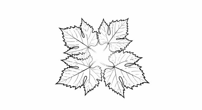 Stylized sketch of five overlapping, serrated leaves arranged in a circular pattern
