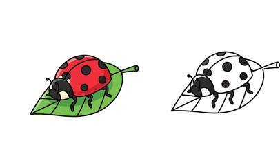 Cute cartoon ladybug sitting on a green leaf, colored illustration and black and white line art vector set for coloring book page, isolated ladybird insect character design. © SHOHAG