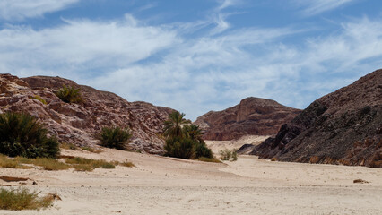 Rocky mountains desert canyon landscape in the Middle East © Sofiia