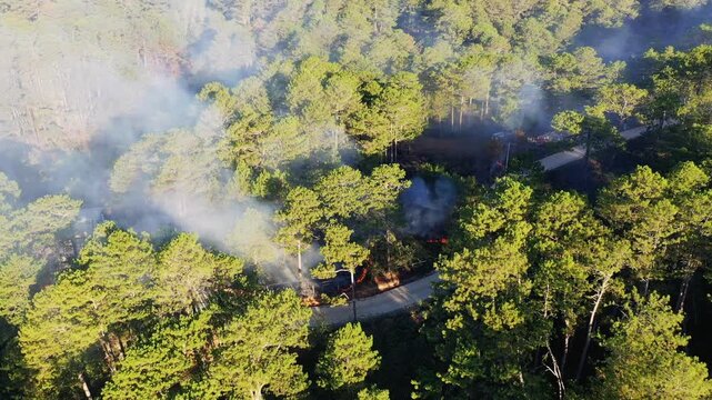 Aerial view of smoke rising from a forest fire among dense pine trees near a rural road in the Bontoc and Sagada region. Dramatic natural disaster scene in a mountainous landscape.