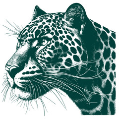Obraz premium Panther Vector