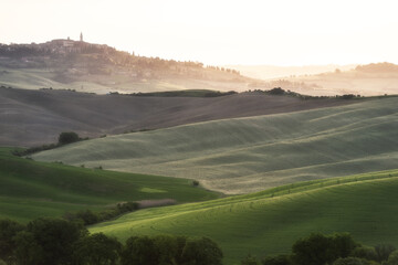Fototapeta premium Breathtaking panoramic view of the undulating green fields and misty hills in Val d'Orcia, Tuscany, featuring a medieval hilltop village under soft golden morning light.