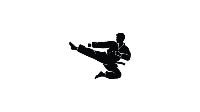 Silhouette of a person performing a martial arts kick.