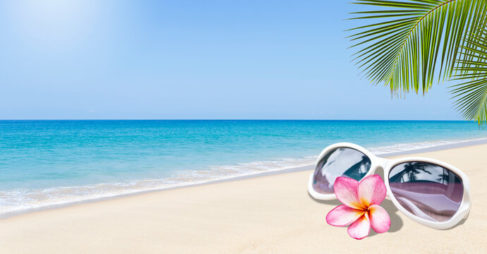 Women sunglasses with plumeria flower on tropical beach background, summer season concept, outdoor day light