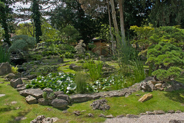 Fototapeta premium Japanese garden with rocks and trees in the park of Schonbrunn palace, Vienna, Austria 