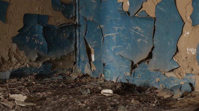 Close up of peeling blue paint on a decaying plaster wall in an abandoned derelict building interior