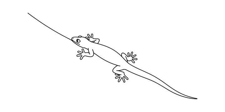 A simple black and white line drawing of a small lizard extending its long tongue for feeding Vector, illustration
