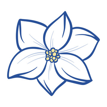 White Flower Vector Isolated Illustration of Single Floral Blossom, Blue Outline Plumeria Summer Illustration, Hand Drawn Botanical Tropical Plant Sicilian Italian Mediterranean Design Element for Las