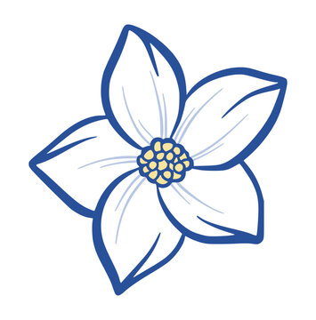 White Flower Vector Isolated Illustration of Single Floral Blossom, Blue Outline Plumeria Summer Illustration, Hand Drawn Botanical Tropical Plant Sicilian Italian Mediterranean Design Element for Las