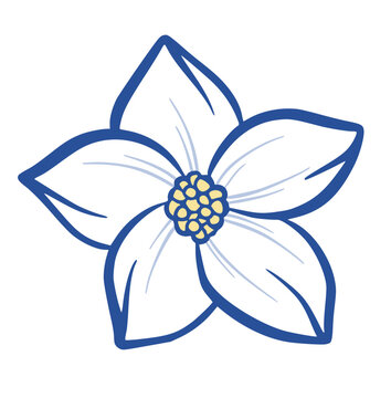 White Flower Vector Isolated Illustration of Single Floral Blossom, Blue Outline Plumeria Summer Illustration, Hand Drawn Botanical Tropical Plant Sicilian Italian Mediterranean Design Element for Las