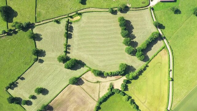 Drone shot of patchwork green fields and farmland near Cuncy les Varzy, France, with trees and rural buildings visible.
