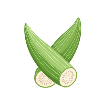 Two ripe snake gourds sliced in half showing seeds, isolated.