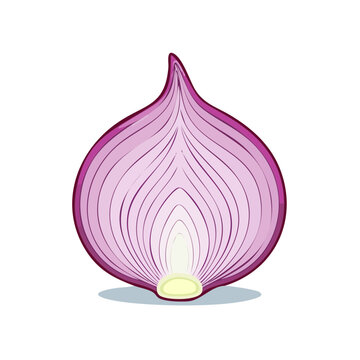 Half of a red onion cut in half showing layers and rings, isolated on white