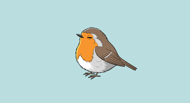 Cute illustration of a small round European robin bird with orange breast sitting calmly on a light blue pastel background.