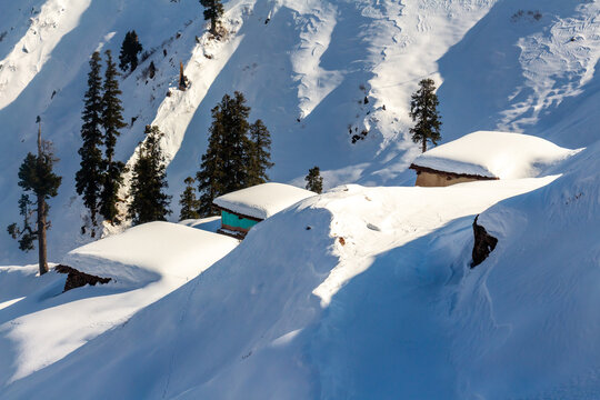 View of snow-laden roofs of small buildings peek out from the mountainside, contrasting with the dark green trees in Haveli Azad Kashmir, Pakistan.