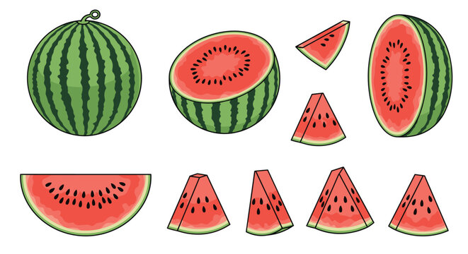 Illustration set of whole watermelon half cuts and various triangular slices for summer food and fruit concepts.
