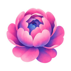 Fototapeta premium PNG Vibrant pink flower illustration