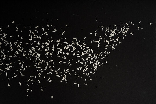 Grated coconut powder. Dry coco flakes pile, shredded desiccated coconut, tropical fruit chips