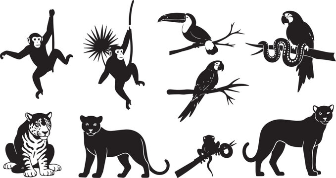 Jungle Animal Silhouettes &ndash; Monkeys, Parrots, Toucan, Jaguar, Panther, Frog, and Snake Icons