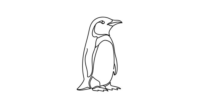 Simple outline drawing of a penguin standing, isolated black and white line art, cute bird illustration