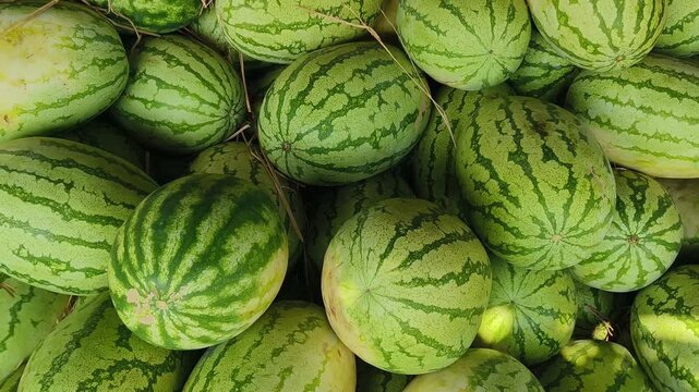 watermelon, fresh watermelon, sliced watermelon, watermelon fruit, juicy watermelon, ripe watermelon, watermelon slices, red watermelon flesh, watermelon seeds, summer fruit, tropical fruit watermelon