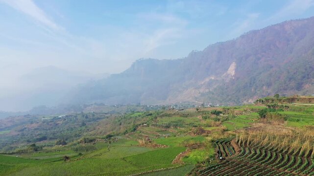 Lush green rice terraces stretch across a valley with misty mountains in the background near Sagada, Philippines. Serene rural scenery under a clear blue sky.