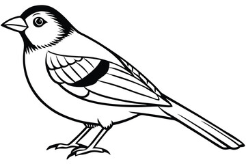 Obraz premium finch bird silhouette line art vector illustration with a white background