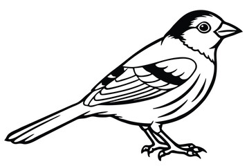 Fototapeta premium finch bird silhouette line art vector illustration with a white background