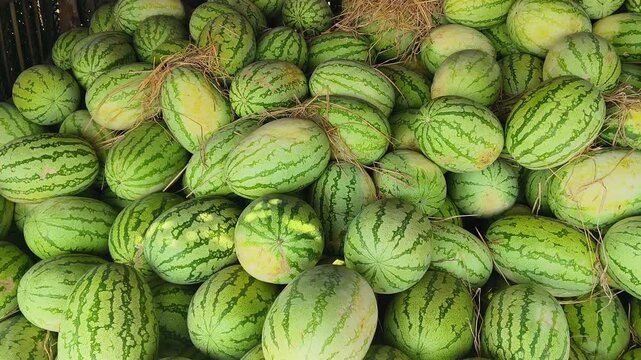 watermelon, fresh watermelon, sliced watermelon, watermelon fruit, juicy watermelon, ripe watermelon, watermelon slices, red watermelon flesh, watermelon seeds, summer fruit, tropical fruit watermelon