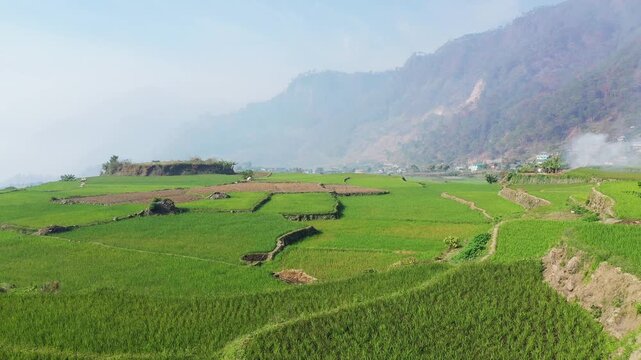 Vibrant green rice terraces stretch across a valley with misty mountains in the background, evoking the rural landscape near Sagada, Philippines.