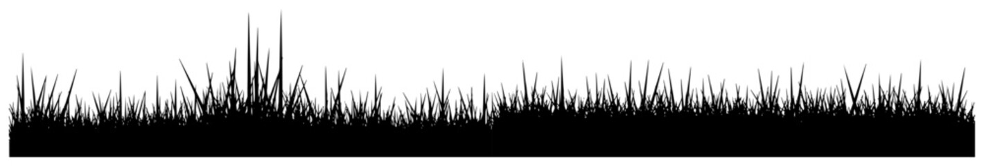 Grass silhouette horizontal meadow border line field nature landscape style © Katarzyna