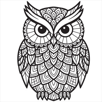Intricate owl illustration, black line art, decorative bird, zentangle style vector