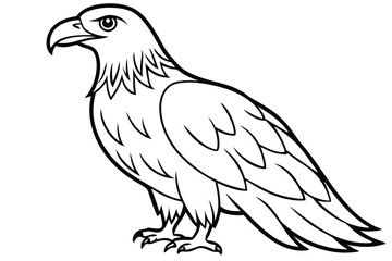 Obraz premium eagle bird silhouette line art vector illustration with a white background