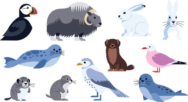 Colorful Vector Set of Arctic and Coastal Animals Including Puffin, Musk Ox, Seals, Rabbits, and Seabirds for Wildlife Illustrations