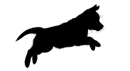 Obraz premium Detailed Puppy Fur Silhouette Black Shape Isolated on White 8K