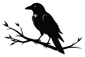 Obraz premium crow setting on a branch silhouette line art vector illustration with a white background