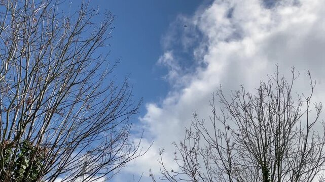 Clouds Moving across the sky