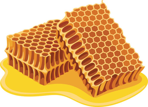 Honeycomb with dripping honey, natural sweet food, organic beehive product vector illustration design
