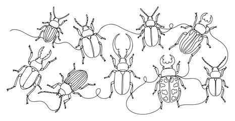 Beetle insect collection with various bugs in minimalist line art style © Katarzyna