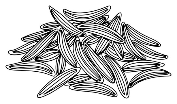 Cumin seeds or fennel spices pile in detailed line art style
