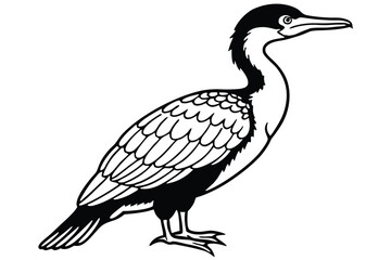 Fototapeta premium cormorant bird silhouette line art vector illustration with a white background