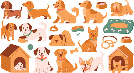 Fototapeta premium Cute cartoon dogs and pet accessories collection with houses bowls toys playful flat illustration isolated on white background