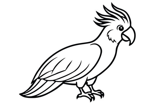 cockatoo bird silhouette line art vector illustration with a white background