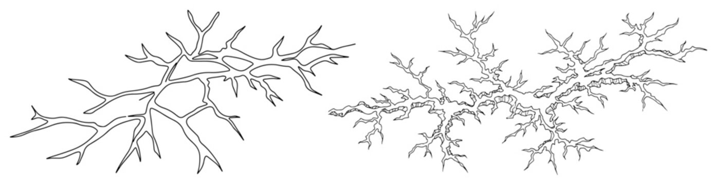 Frost patterns and ice crystals formation in continuous line art style