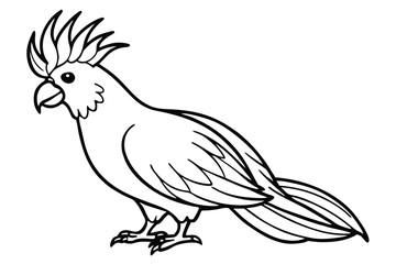 Fototapeta premium cockatoo bird silhouette line art vector illustration with a white background