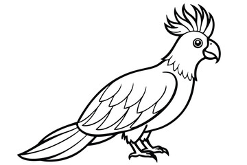 Fototapeta premium cockatoo bird silhouette line art vector illustration with a white background